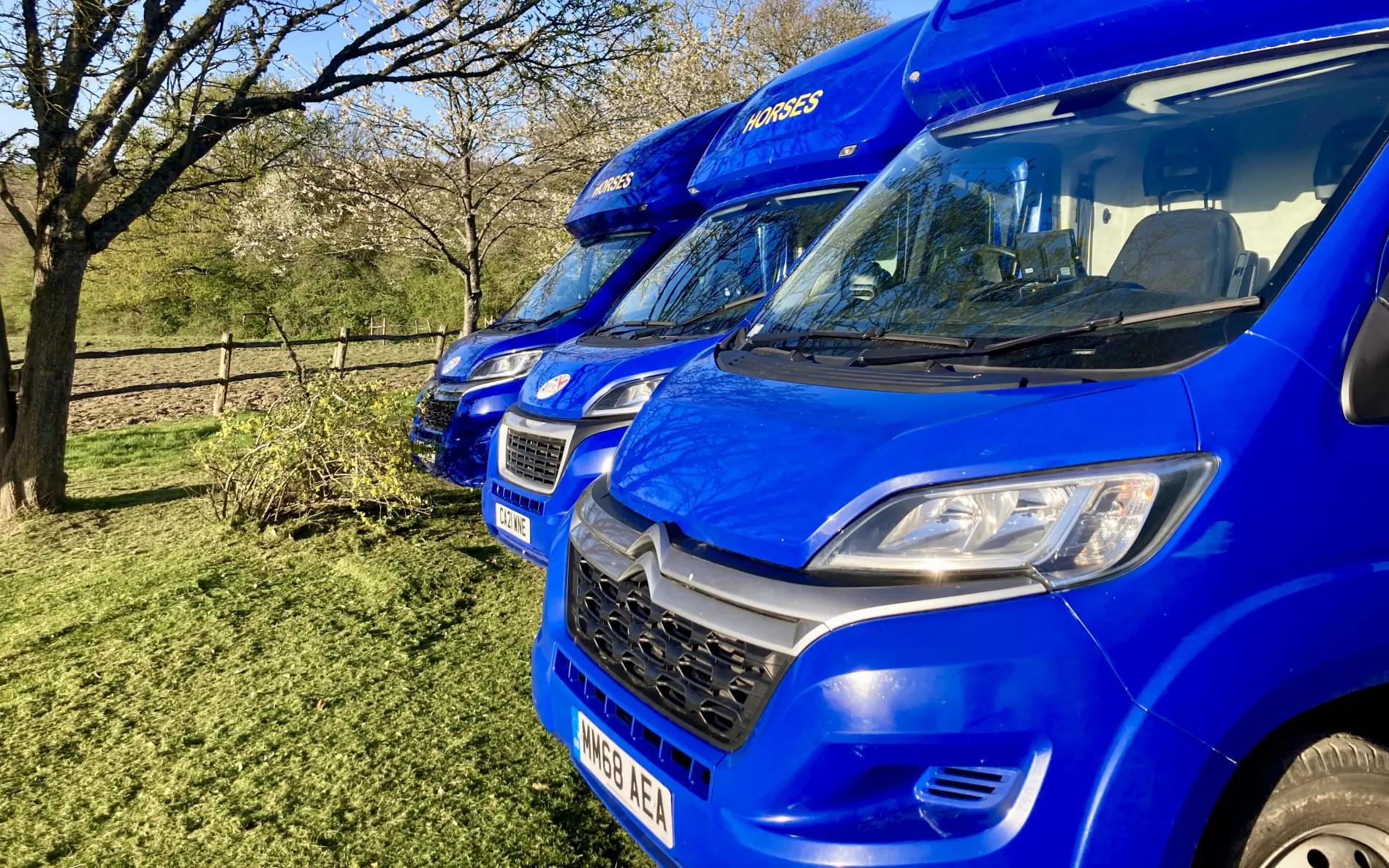 Equine Transport UK horseboxes at the yard