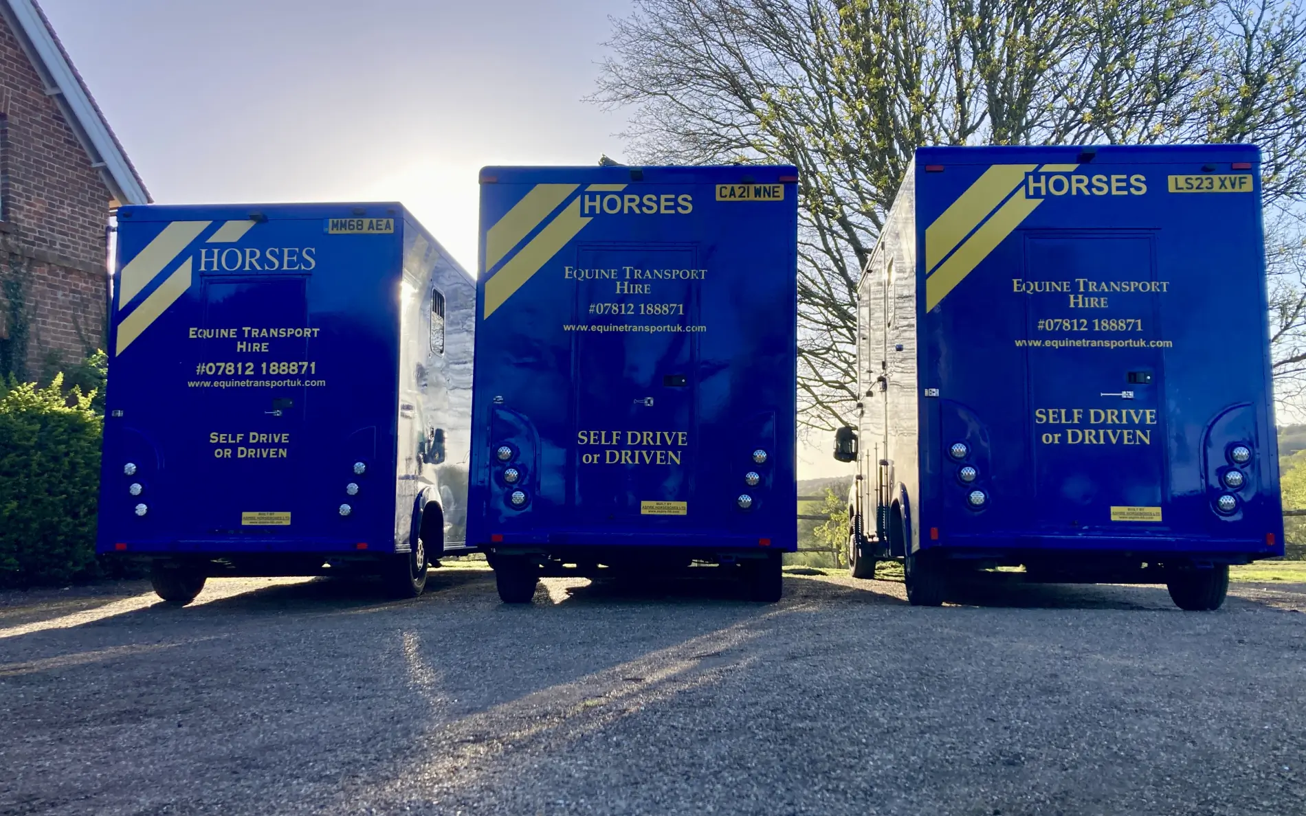 Equine Transport UK stallion horsebox