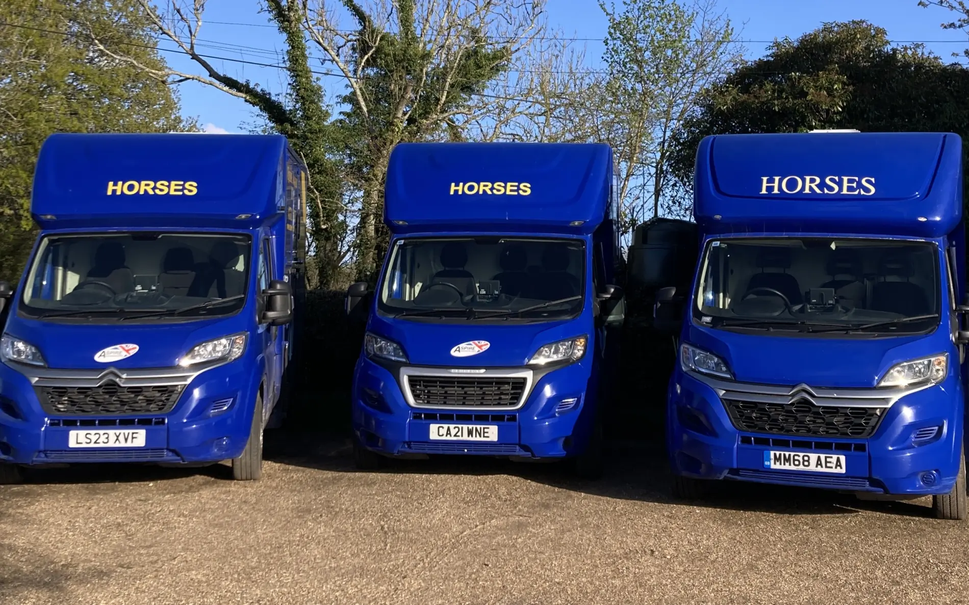 Equine Transport UK 3.5 tonne horsebox fleet
